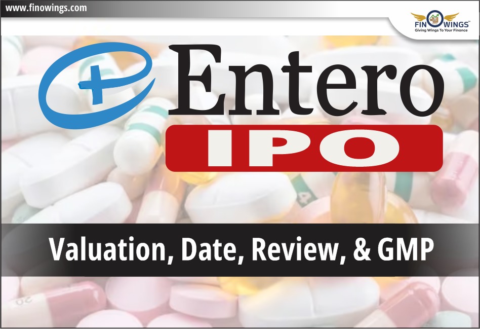 Entero Healthcare Solutions Limited IPO